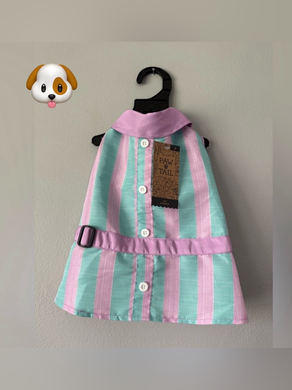 Pink and Aqua Striped Dog Dress